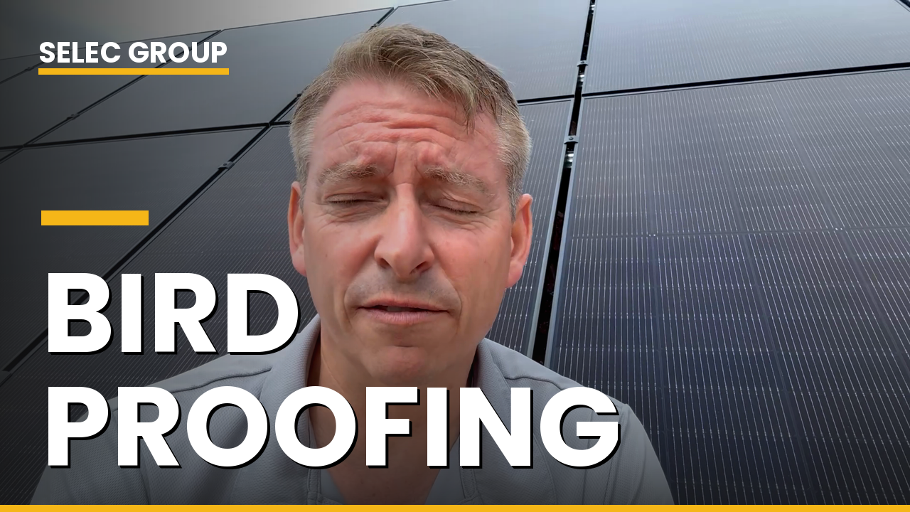 Do you need bird proofing on your solar panels?